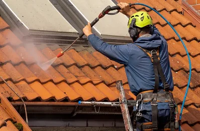Démoussage et hydrofuge de toiture aux Plans